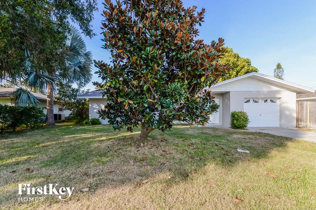a house with a garage and a tree in the yard