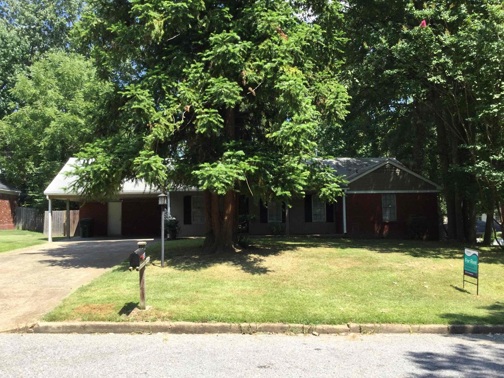 A house with a green lawn and a tree in front.