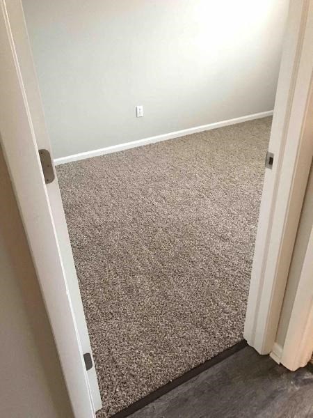 a hallway with a carpeted floor and a white door