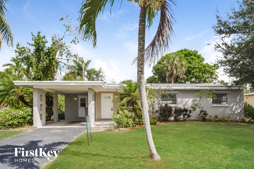 a small white house with a palm tree in front of it