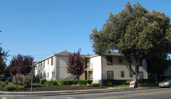 675 Johanna Avenue 1 Bed Apartment for Rent - Photo Gallery 7