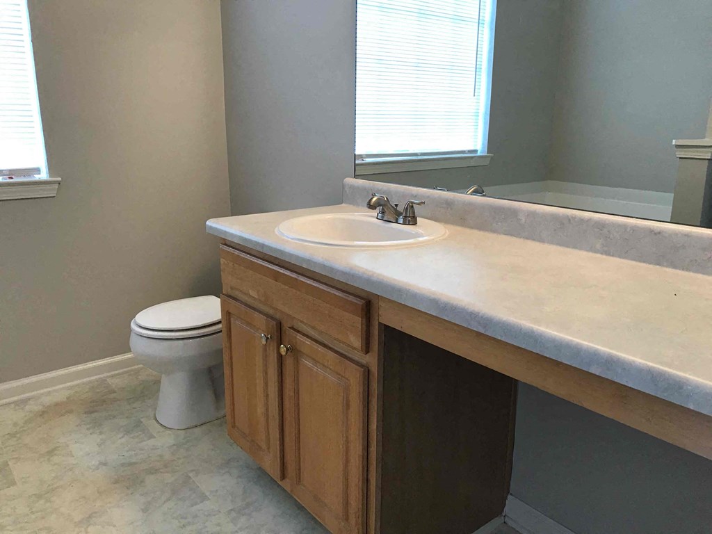 a bathroom with a sink and a toilet