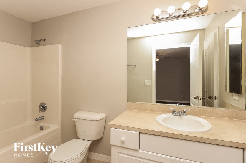 a bathroom with a sink and a toilet and a mirror