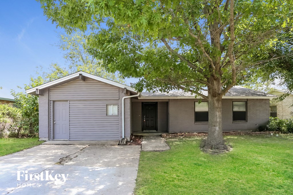 a small with a tree in front of it