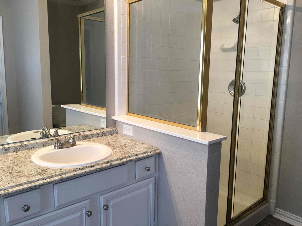 a bathroom with a sink and a shower