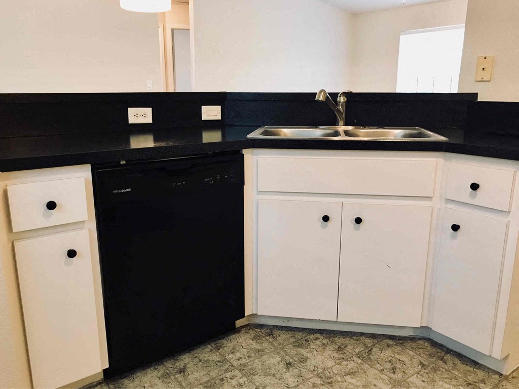 A black and white kitchen with a sink, dishwasher, and cabinets.