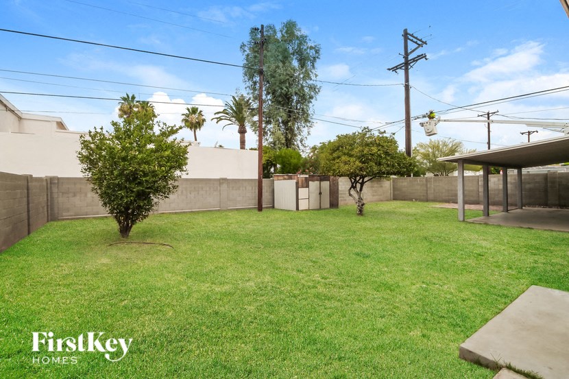 A backyard with a tree, a fence and a bench.