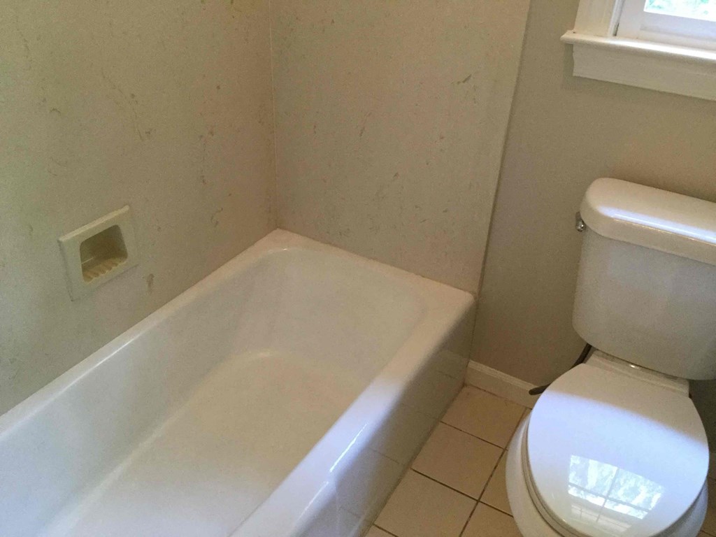 a bathroom with a toilet and a bath tub