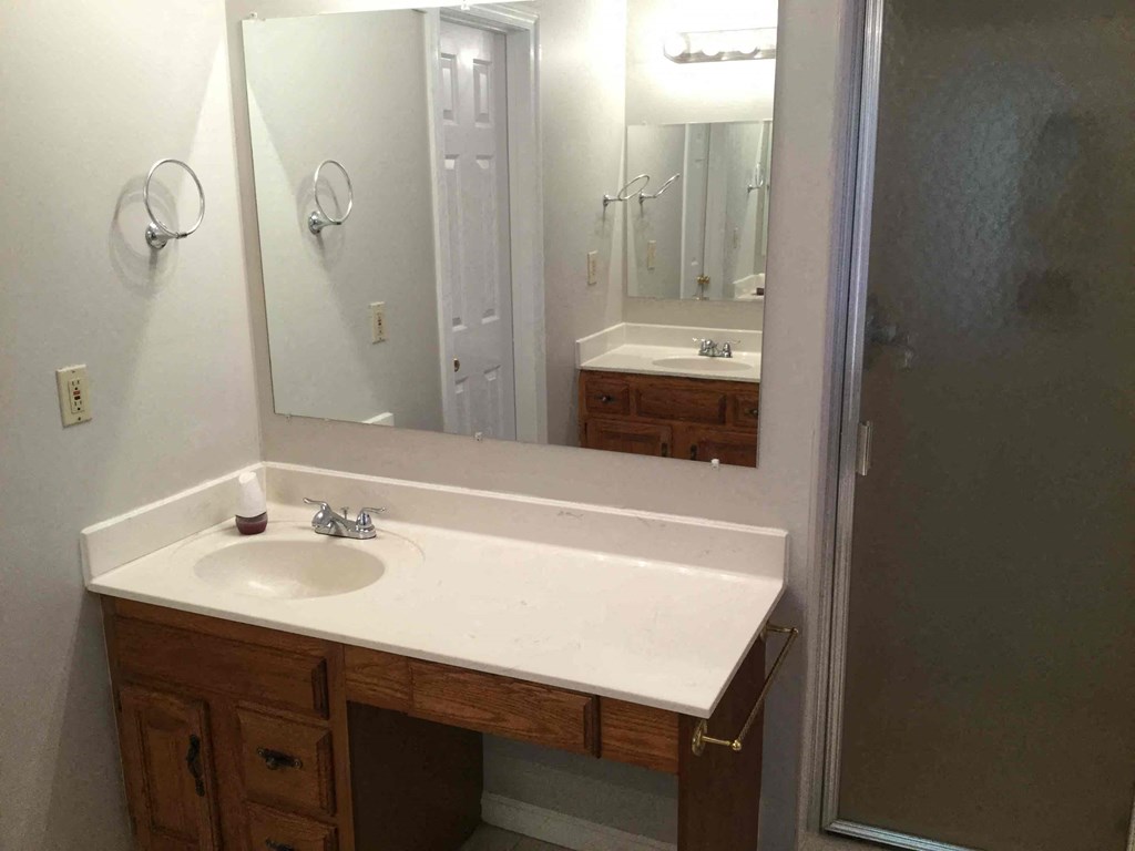 a bathroom with a sink and a shower and a mirror