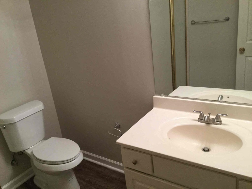 a bathroom with a sink and a toilet and a mirror