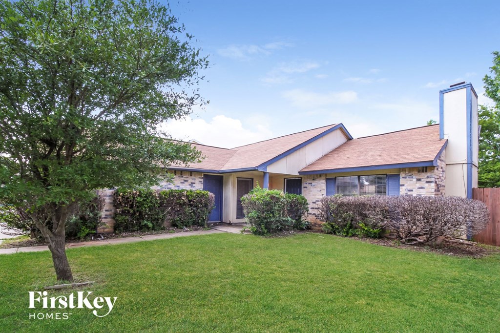 a house with a lawn and a tree