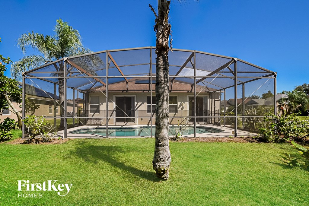 A house with a pool and a palm tree in the yard.
