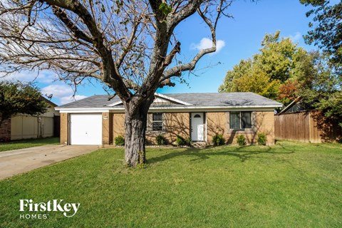 A tree stands in the front yard of a house with a garage.