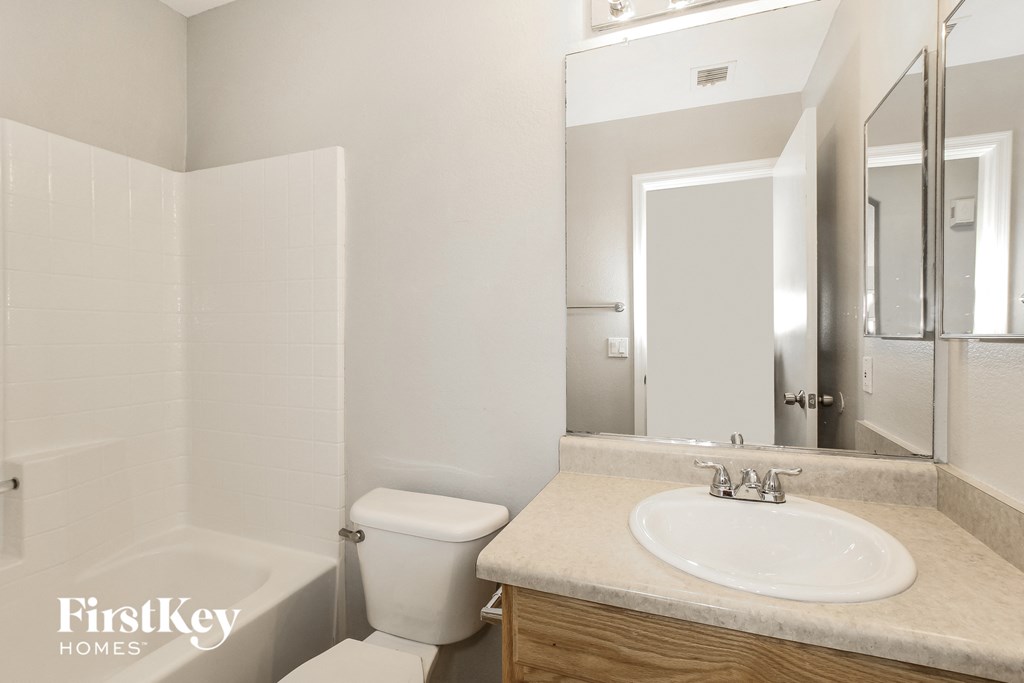 a bathroom with a sink and a toilet and a mirror