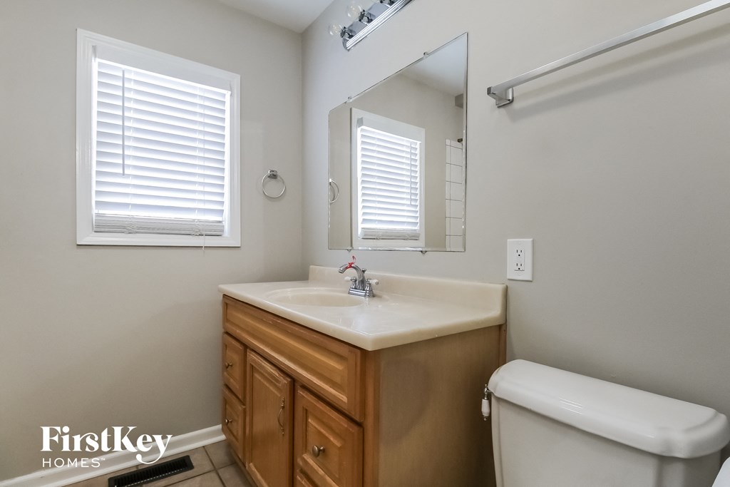 a bathroom with a sink and a mirror and a toilet