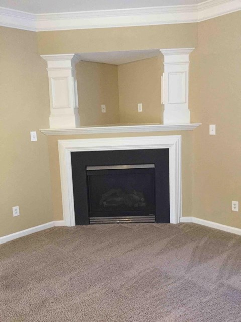 a living room with a fireplace and a carpet