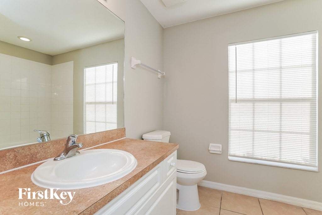 a bathroom with a sink and a toilet and a mirror