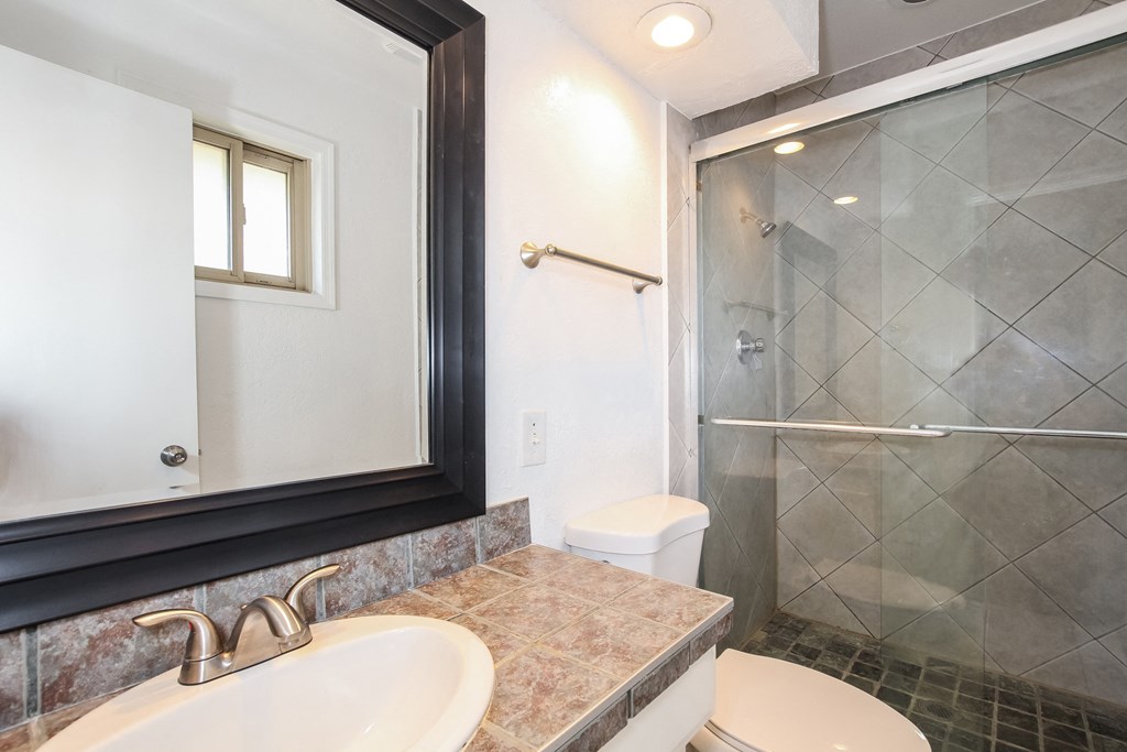 a bathroom with a sink and a shower and a toilet