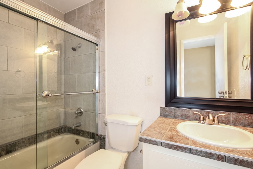 a bathroom with a shower toilet and sink and a mirror