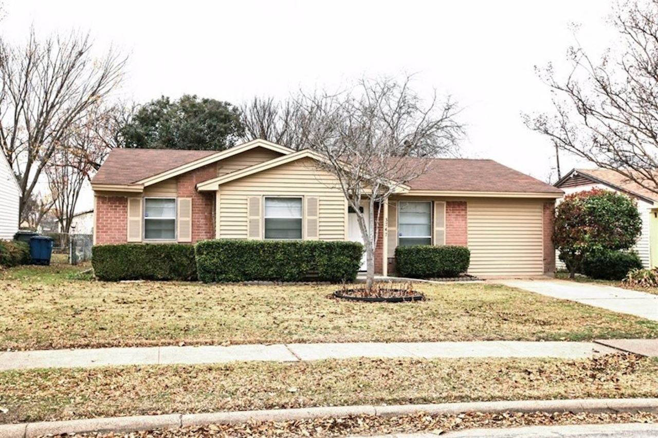 a home with a tree in the front yard