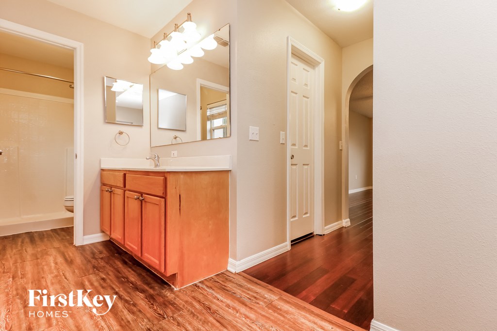 a bathroom with wood flooring and a vanity with a large mirror