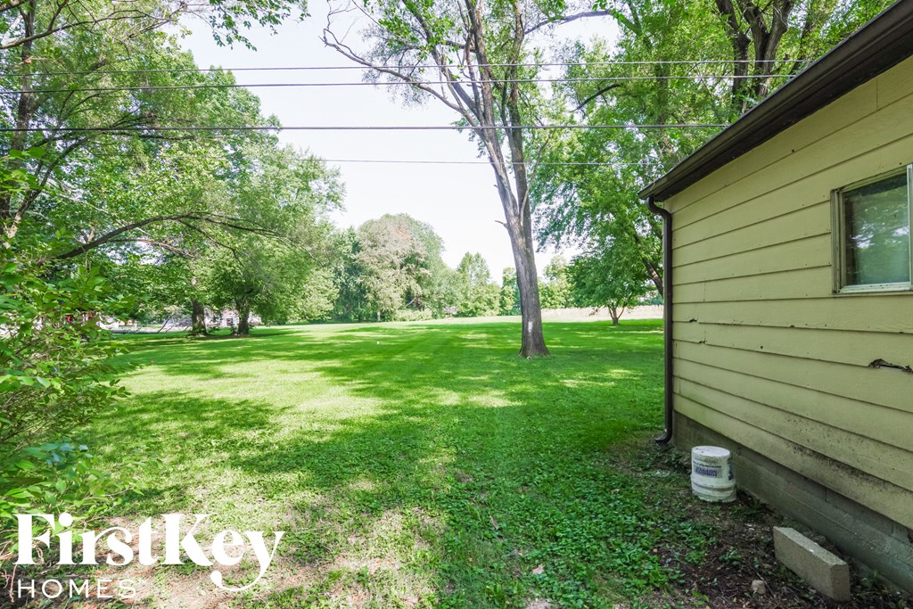 A grassy backyard with a house and a tree.