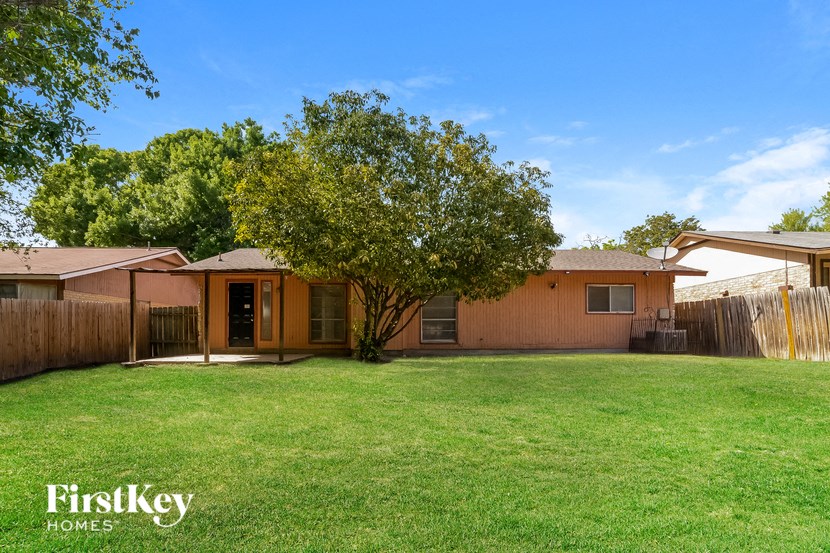 a backyard with a tree and a house