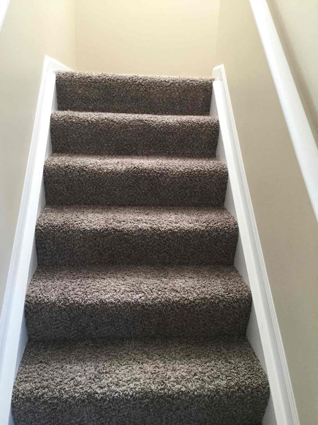 a carpeted staircase with carpeted carpet stairs