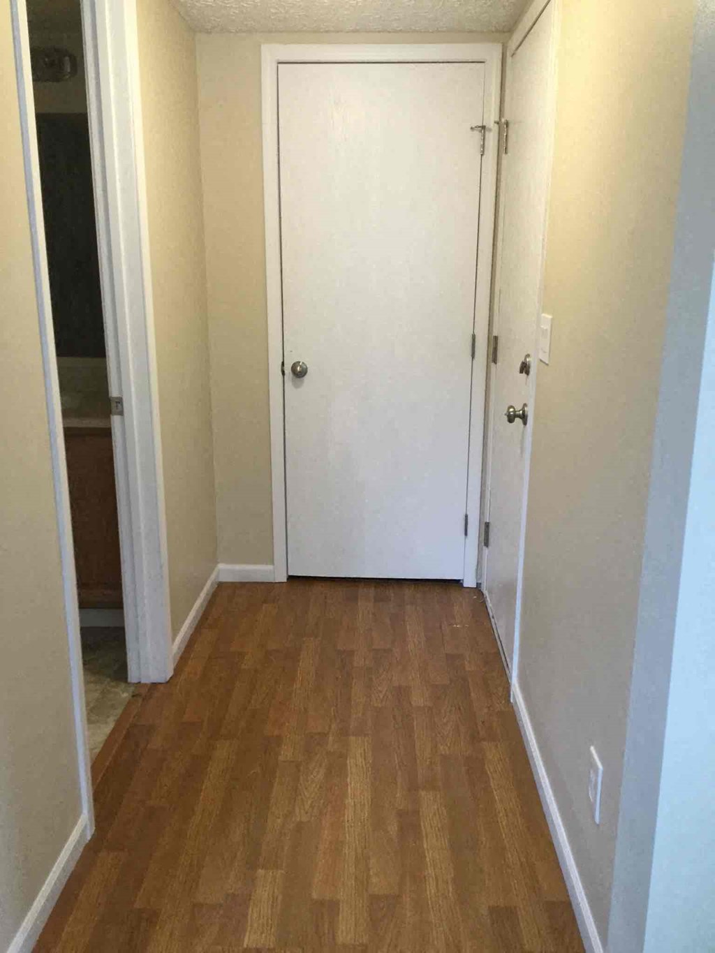 a hallway with a wood floor and two doors