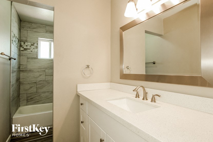 a bathroom with a sink and a mirror and a shower