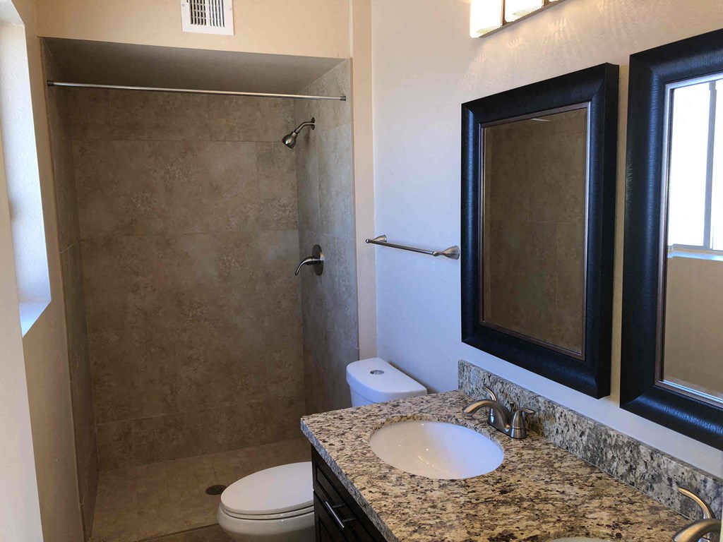a bathroom with a shower and a sink and a mirror