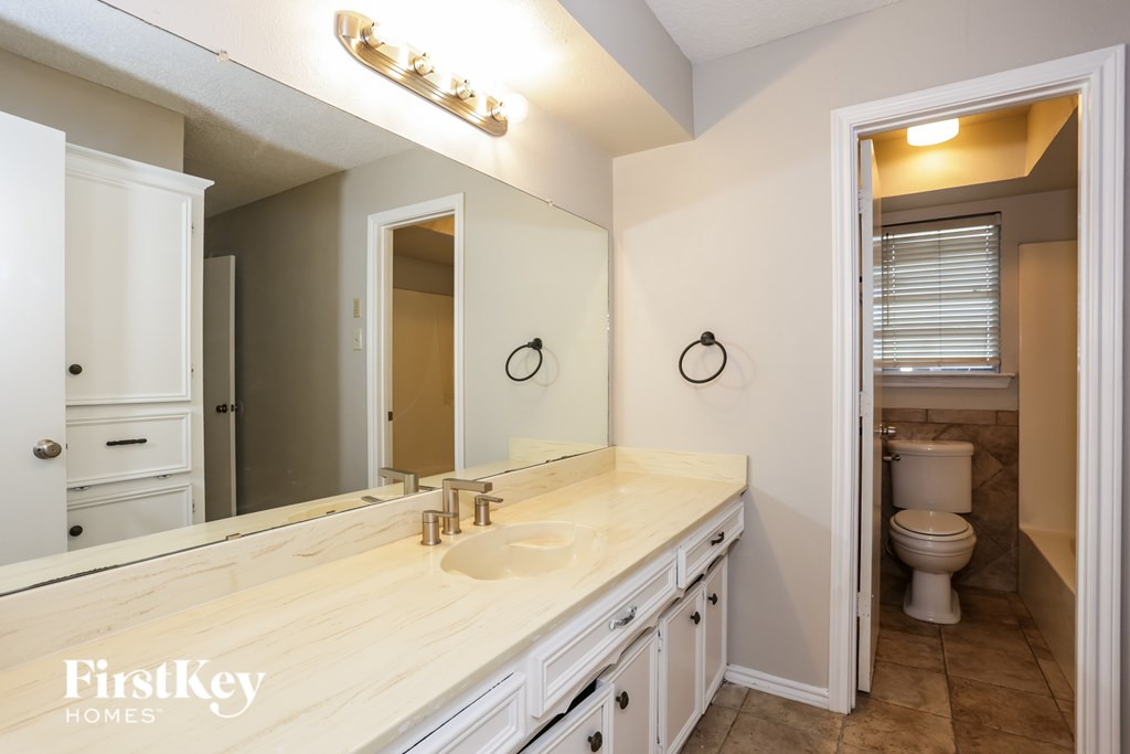 A bathroom with a vanity and a toilet.