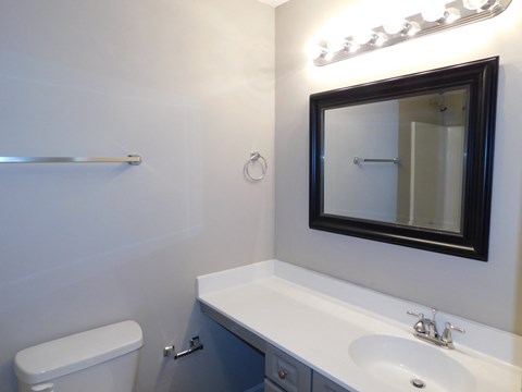 a bathroom with a sink and a mirror and a toilet