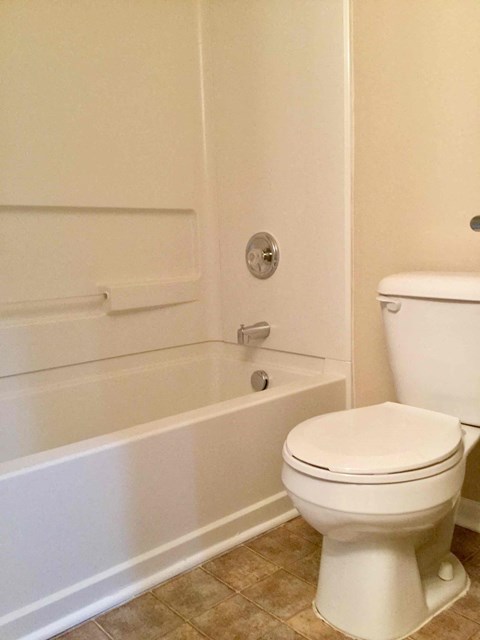 A white toilet sits next to a bathtub in a bathroom.
