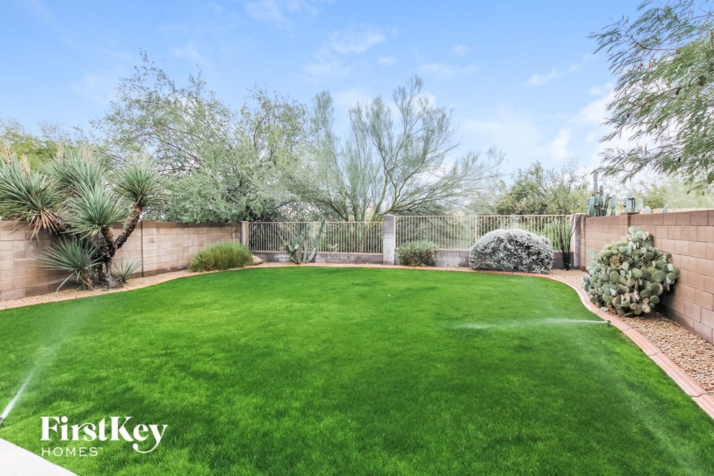 a backyard with a green lawn and a fence