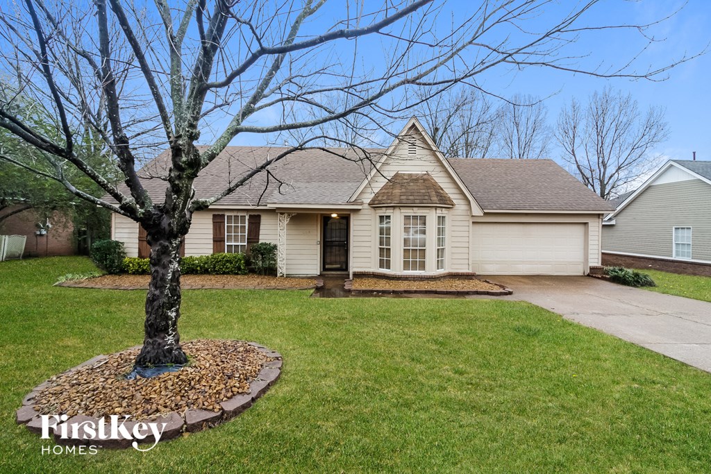 a home with a large tree in the front yard