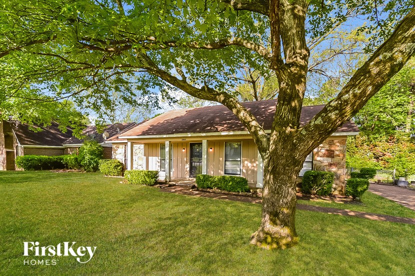a small house with a tree in front of it