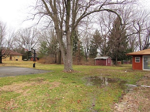 A basketball court is surrounded by trees and a small puddle of water.