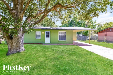 a green house with a tree and a sidewalk