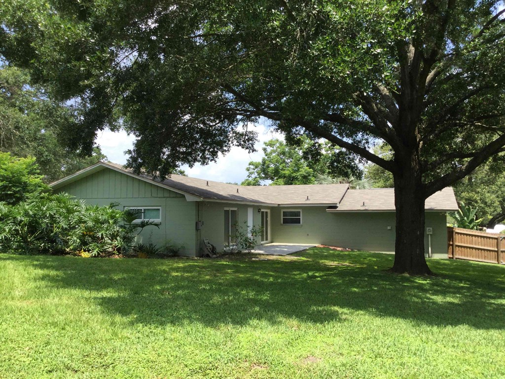 a green house with a large tree in the yard