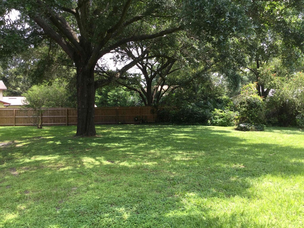 a backyard with grass and trees and a fence