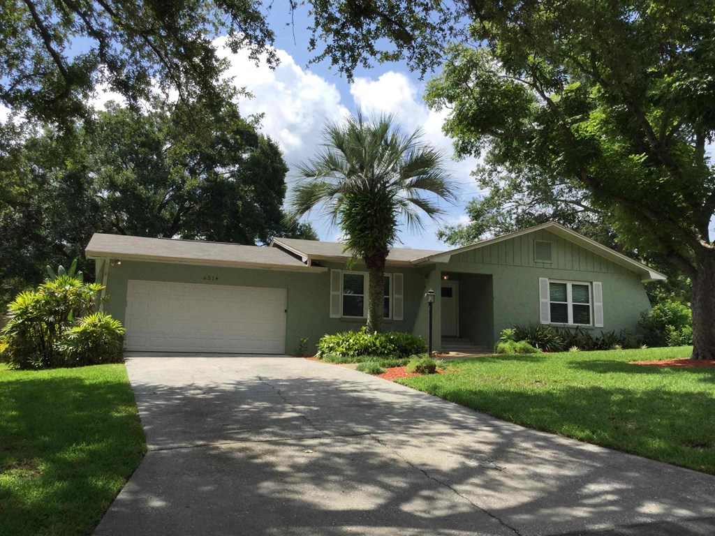 a green house with a driveway and a palm tree