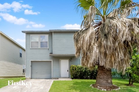 a blue house with a palm tree in front of it