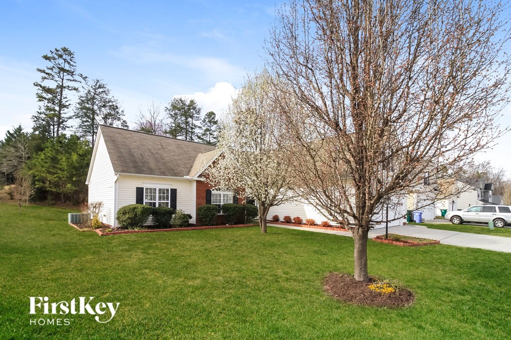 a home with a tree in the front yard