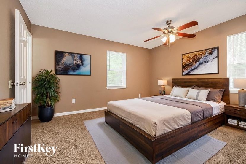 A bedroom with a large bed, a ceiling fan, and a potted plant.