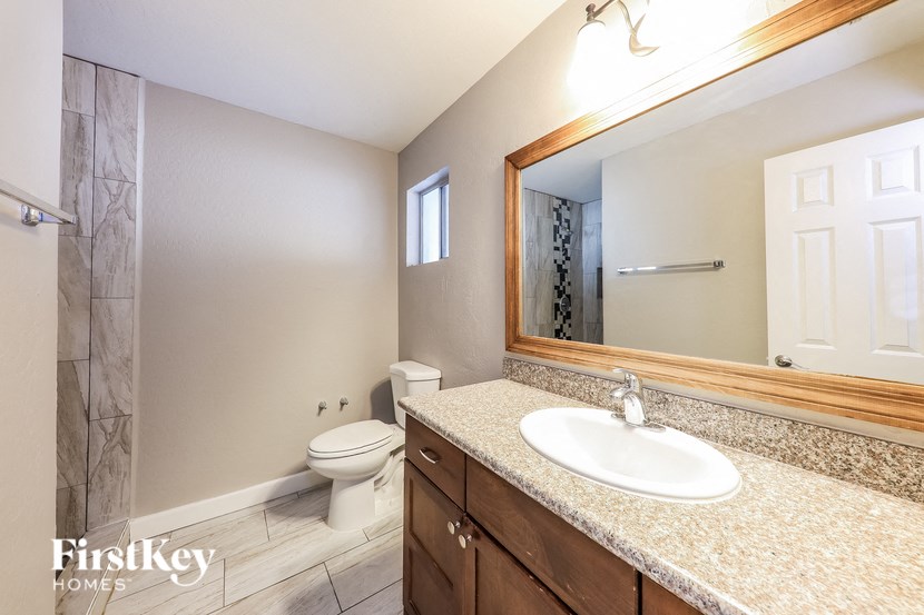 a bathroom with a sink and a toilet and a mirror