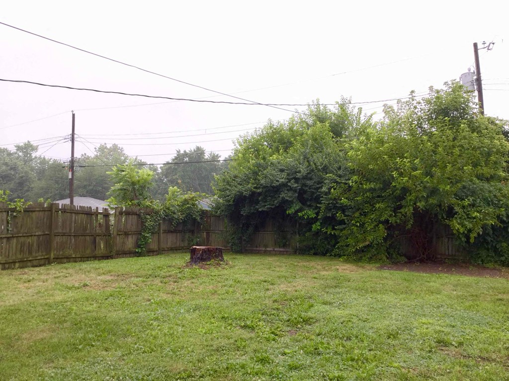 A backyard with a wooden fence and a tree stump.