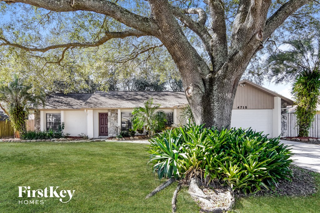 A tree in a front yard with a house in the background.