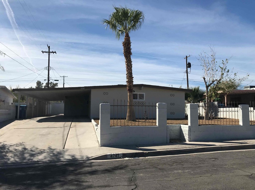 A palm tree stands in front of a white building with a fence.