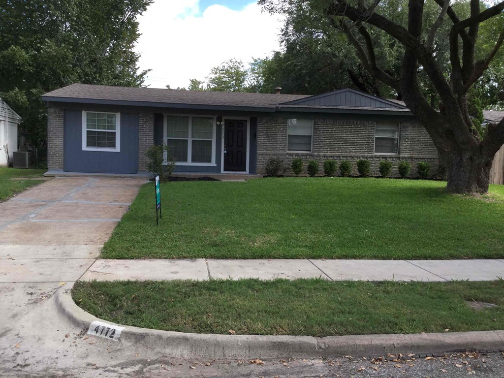 a blue house with a yard and a tree